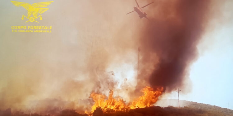Incendio in località “Corti De Stadi” a Quartu Sant’Elena, sul posto anche un mezzo aereo del Corpo forestale