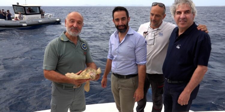 Nel Parco dell’Asinara è stata liberata una tartaruga recuperata lo scorso 16 febbraio