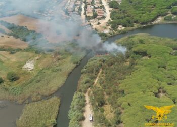 Un’altra giornata di fuoco in Sardegna, per il caldo e gli incendi