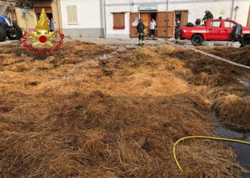 Lula: a fuoco alcune rotoballe di foraggio, sul posto i vigili del fuoco