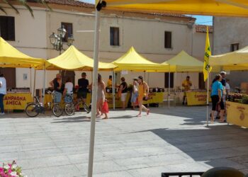 Coldiretti Nuoro Ogliastra: al via i mercati di Campagna Amica a San Teodoro, La Caletta, Cala Gonone e Puntaldia