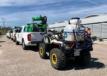 Lotta alle cavallette. Valeria Satta (assessora dell’Agricoltura): «Stiamo vincendo la battaglia»