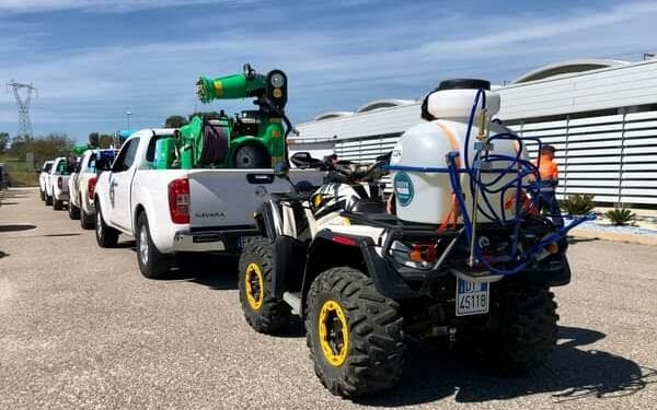 Lotta alle cavallette. Valeria Satta (assessora dell’Agricoltura): «Stiamo vincendo la battaglia»