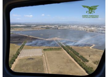 Due dei nove incendi sviluppatisi ieri in Sardegna hanno richiesto l’intervento dei mezzi aerei del Corpo forestale, a Uta e Siligo