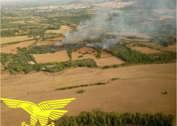 Giornata di fuoco, in Sardegna, per le elevatissime temperature e gli incendi, ben quindici