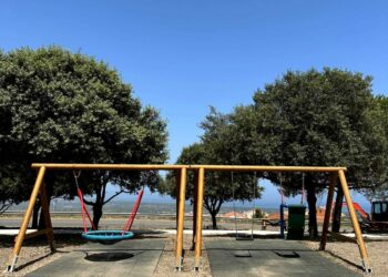 Al Parco Santa Vittoria di Sennori una palestra fra gli alberi con vista sull’Asinara
