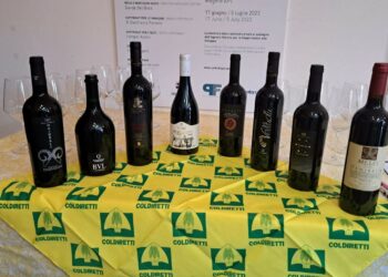 Nasce il nuovo consorzio per la tutela e la valorizzazione dei vini Doc Terralba