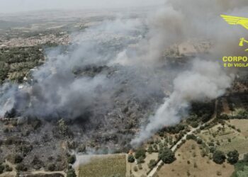 Oggi 2 dei 15 incendi sviluppatisi sul territorio regionale hanno richiesto l’intervento dei mezzi aerei del Corpo forestale