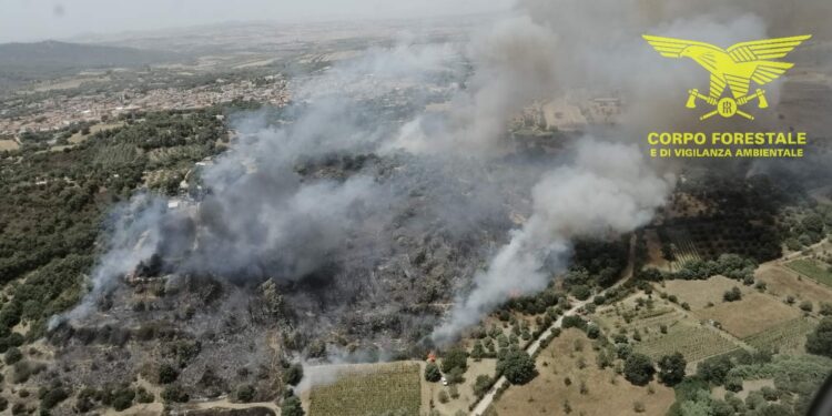 Oggi 2 dei 15 incendi sviluppatisi sul territorio regionale hanno richiesto l’intervento dei mezzi aerei del Corpo forestale