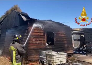 Un incendio di sterpi nell’agro del comune di Assemini, in località Terra Noas, ha coinvolto un’azienda agricola