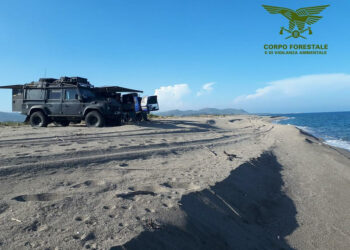 Camperismo abusivo a Tortolì. raffica di sanzioni