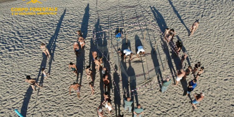 Corpo Forestale: ad Arbatax il monitoraggio della deposizione di nidi di tartaruga Caretta Caretta