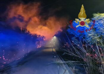 Incendio nell’area parcheggio delle spiagge del Pevero, sul posto i vigili del fuoco