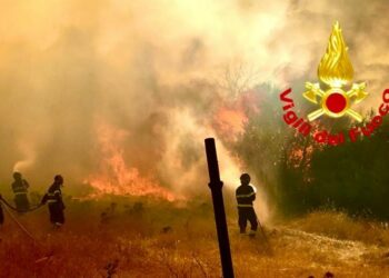 Padru: incendio tra Ludurru e Sa Serra, intervengono vigili del fuoco e Corpo forestale