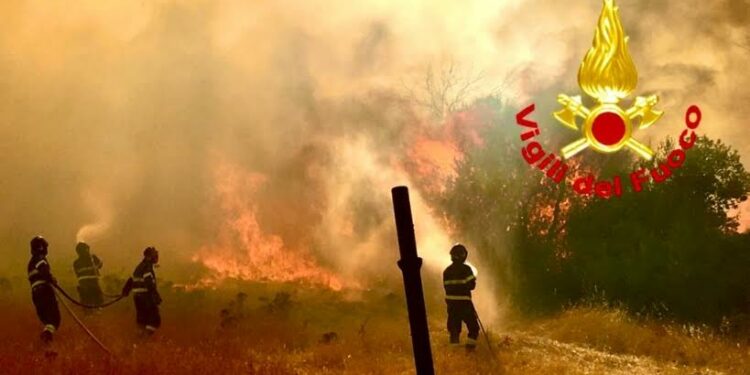 Padru: incendio tra Ludurru e Sa Serra, intervengono vigili del fuoco e Corpo forestale