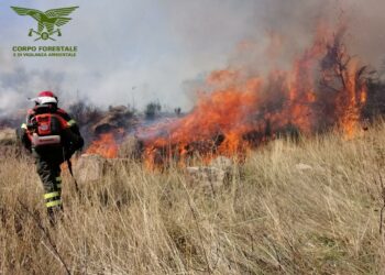 Oggi, su un totale di 19 incendi sviluppatisi sul territorio regionale, 3 hanno richiesto l’intervento dei mezzi aerei del servizio aereo antincendio regionale