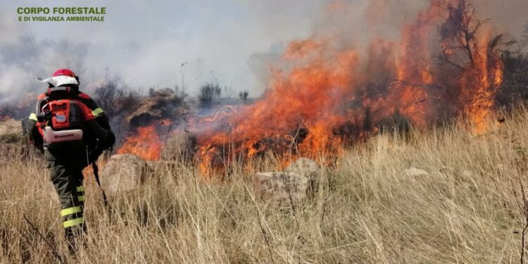 Oggi, su un totale di 19 incendi sviluppatisi sul territorio regionale, 3 hanno richiesto l’intervento dei mezzi aerei del servizio aereo antincendio regionale