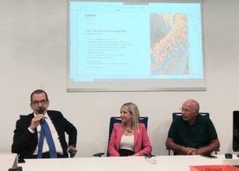 Il comune di Noragugume: «Il fenomeno delle cavallette si è notevolmente ridotto»