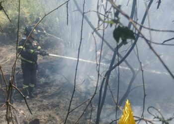 Arzachena: incendio nei pressi di Abbiadori