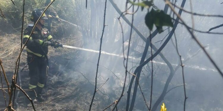 Arzachena: incendio nei pressi di Abbiadori