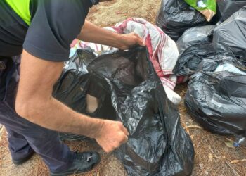 Oristano: bonificate alcune aree di Torre Grande