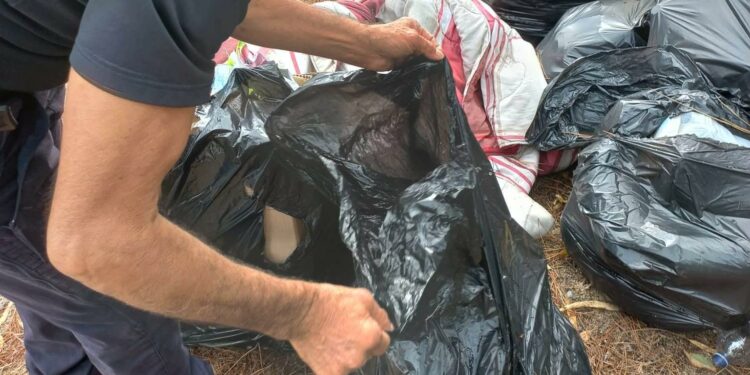 Oristano: bonificate alcune aree di Torre Grande