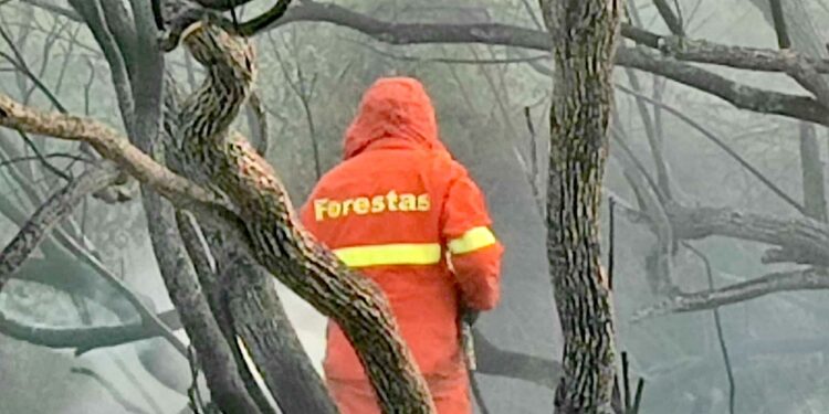 “Troppe falle nei parametri di sicurezza”, lo Snaf minaccia lo stato d’agitazione