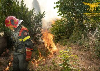 Ancora incendi in Sardegna, su ben 23 sviluppatisi oggi, 5 hanno richiesto anche l’intervento dei mezzi aerei
