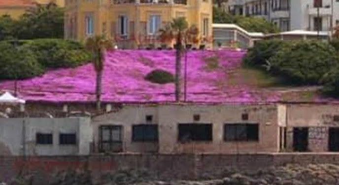 Alghero: pubblicato il bando per la riqualificazione e la valorizzazione del Caval Marì