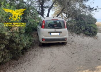 Controlli del Corpo forestale della Sardegna nelle spiagge ogliastrine