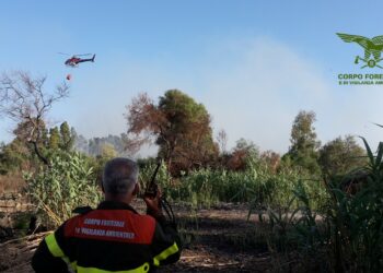 Sono stati 11 gli incendi sviluppatisi oggi in Sardegna, 3 hanno richiesto anche l’impiego dei mezzi aerei