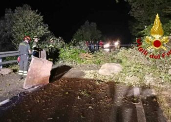 Busachi: i vigili del fuoco hanno rimosso massi e vegetazione sulla provinciale 11