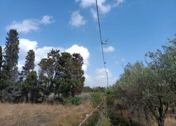 Altra giornata di fuoco in Sardegna, 20 gli incendi alimentati dal maestrale, 3 hanno richiesto l’intervento dei mezzi aerei del servizio antincendio regionale