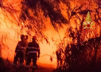 Interventi per incendio di macchia mediterranea nella frazione di San Priamo (San Vito) e, a causa del forte vento, nell’hinterland e Provincia