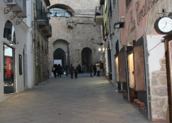 Il presidente della Regione ha espresso ferma condanna verso gli autori degli incendi e annunciato una stretta sulle indagini