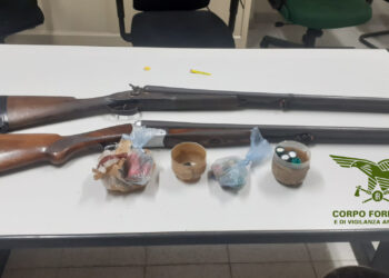 La stazione di Sinnai  del Corpo forestale ha avviato una complessa indagine antibracconaggio e applicato una misura cautelare in carcere