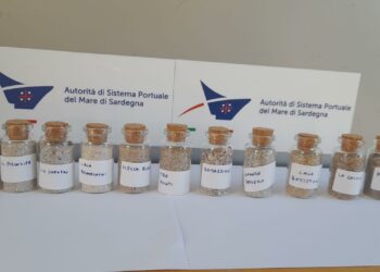Ad Olbia sono finiti nei guai due turisti trovati in possesso di undici barattoli di sabbia