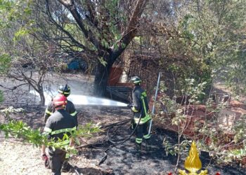 Santa Teresa di Gallura: incendio in un terreno privato, sul posto i vigili del fuoco