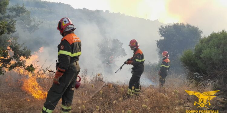 Il Corpo forestale sta intervenendo con il supporto di un elicottero della base di Limbara su un incendio a Oschiri, in località Sa Pedrosa