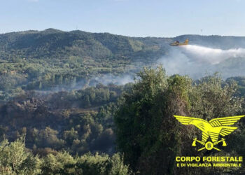 Gli incendiari in Sardegna non si fermano, oggi 17 roghi, 6 hanno richiesto l’intervento dei mezzi aerei