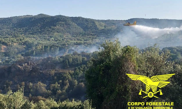 Gli incendiari in Sardegna non si fermano, oggi 17 roghi, 6 hanno richiesto l’intervento dei mezzi aerei