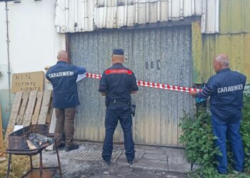 Sei cittadini denunciati e due sequestri preventivi eseguiti dai carabinieri forestali del NIPAAF in altrettante aree alle porte di Cagliari