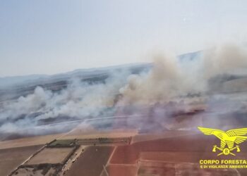 Altra giornata di fuoco in Sardegna, 22 incendi, su 6 sono intervenuti anche i mezzi aerei