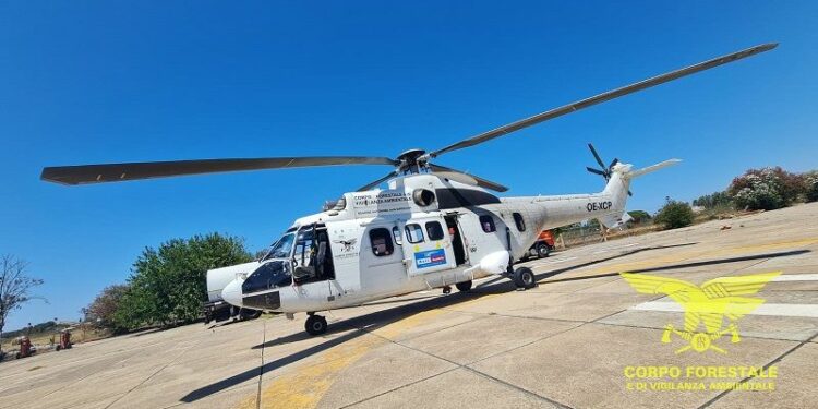 Siniscola: incendio in località “Rio di Siniscola”