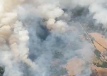 Ancora incendi in Sardegna, oggi sono stati 16, per 4 si è reso necessario anche l’impiego dei mezzi aerei. Il più vasto a Sorgono