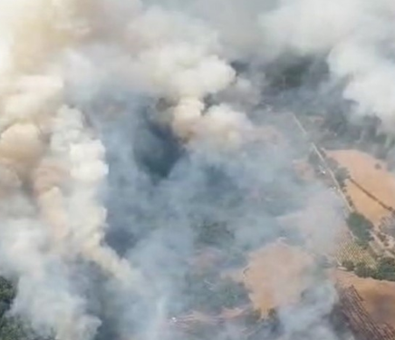 Ancora incendi in Sardegna, oggi sono stati 16, per 4 si è reso necessario anche l’impiego dei mezzi aerei. Il più vasto a Sorgono