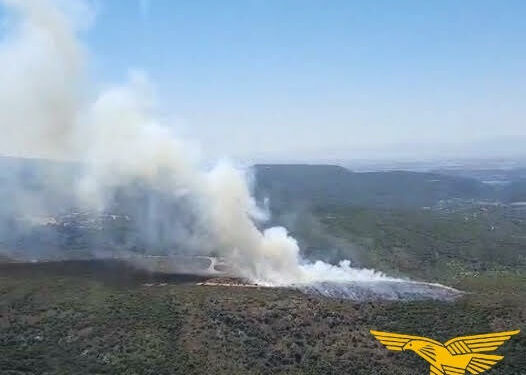 Sono stati 16 gli incendi sviluppatisi giovedì in Sardegna, 7 hanno richiesto l’intervento dei mezzi aerei del Corpo forestale