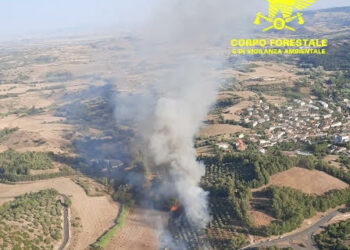 Un’altra giornata di fuoco in Sardegna, 16 roghi, per 5 si è reso necessario anche l’impiego dei mezzi aerei