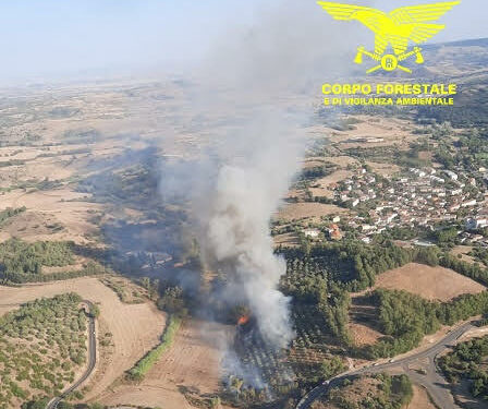 Un’altra giornata di fuoco in Sardegna, 16 roghi, per 5 si è reso necessario anche l’impiego dei mezzi aerei