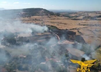 Un’altra giornata di incendi in Sardegna, ben 18, per 2 sono intervenuti anche i mezzi aerei
